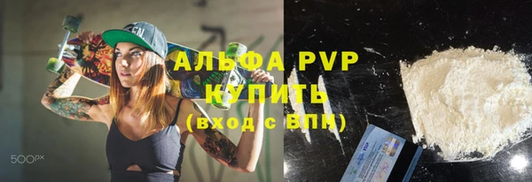 эйфоретик Гусь-Хрустальный