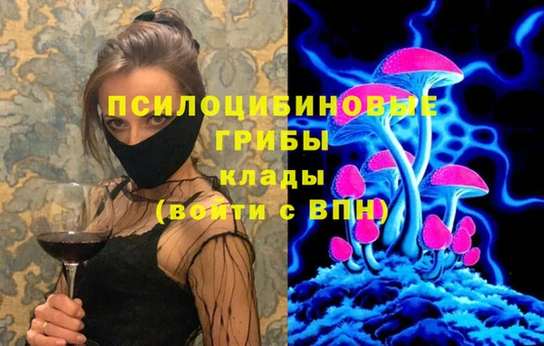 трава Новокубанск
