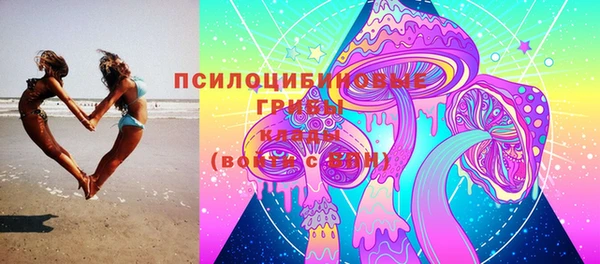 не бодяженный Новодвинск