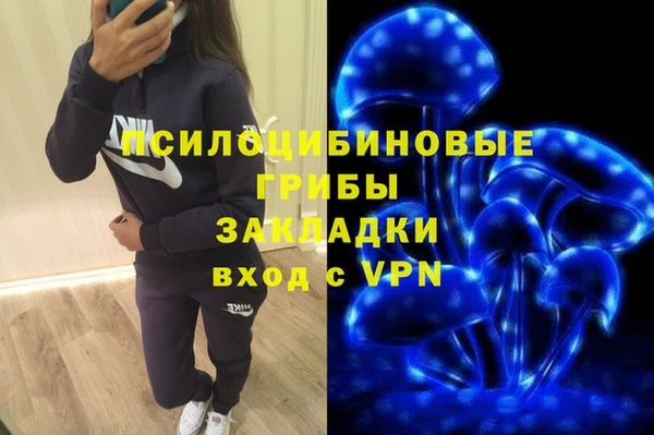 МДПВ Новозыбков