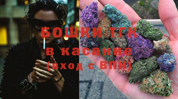 МДПВ Новозыбков